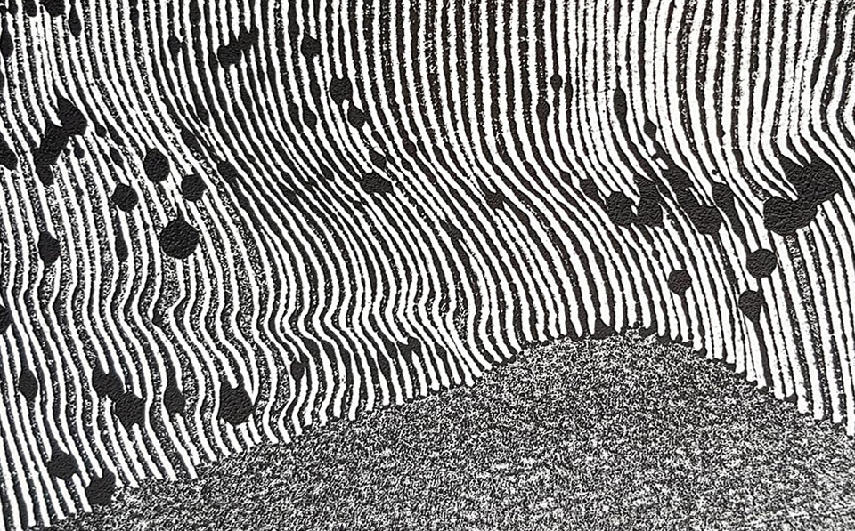 Lignes, oeuvre viviane rabaud, encre, estampe, lignes noires sur fond blanc