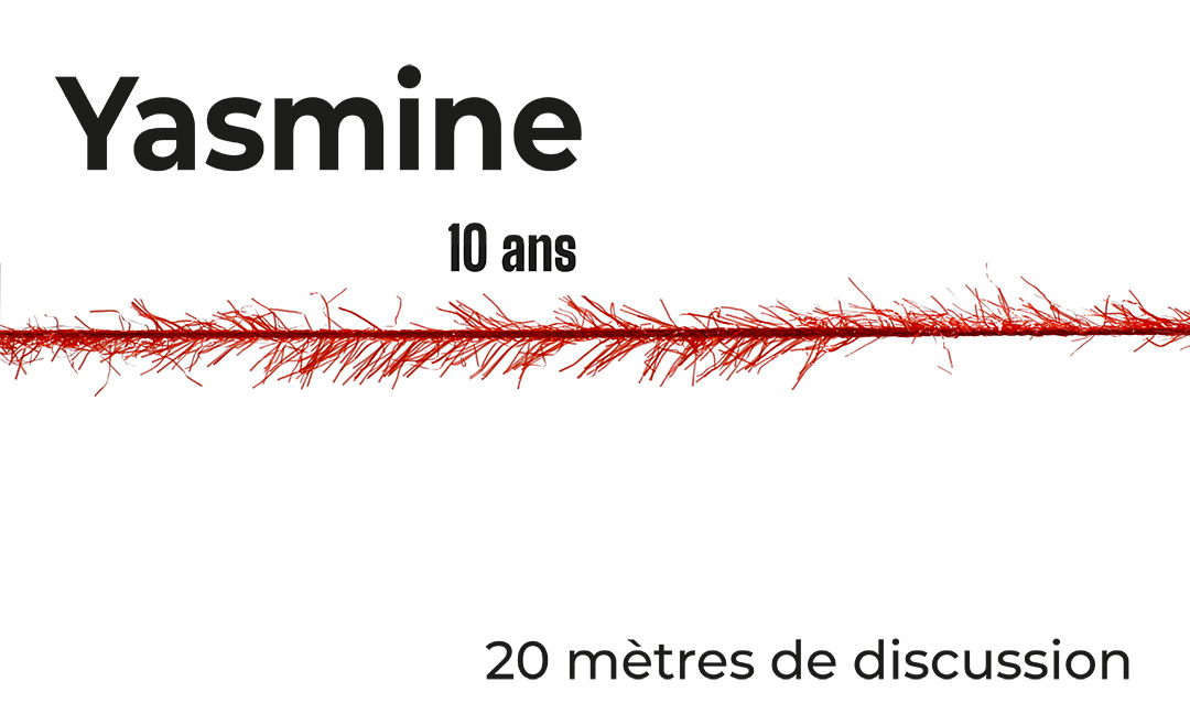 sitting-tour-oeuvre-viviane-rabaud projet art relationnel, oeuvre viviane rabaud, sitting tour