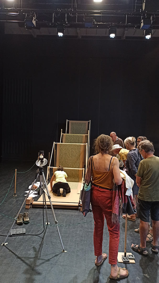 regardez-vous le printemps ?, performance, art contemporain, auray, centre culturel athéna, viviane rabaud