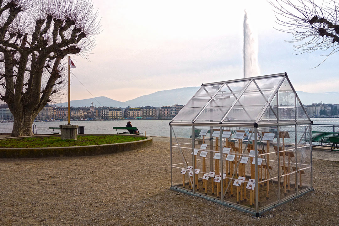 Ministère des Affaires de la Terre, Bains des Pâquis, Genève. Vue de l'installation. Serre avec photographies et phrases sur supports bois verticaux, mat et pavillon sur esplanade d'herbe. Art participatif, Viviane Rabaud